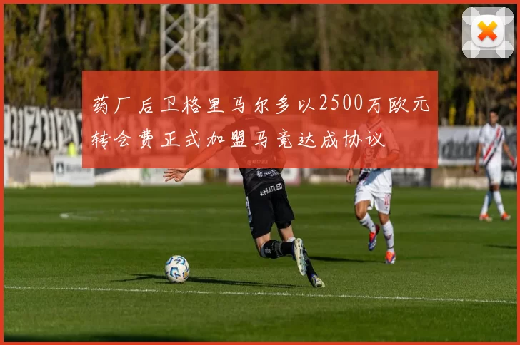 药厂后卫格里马尔多以2500万欧元转会费正式加盟马竞达成协议