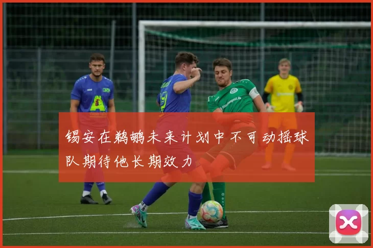 锡安在鹈鹕未来计划中不可动摇球队期待他长期效力